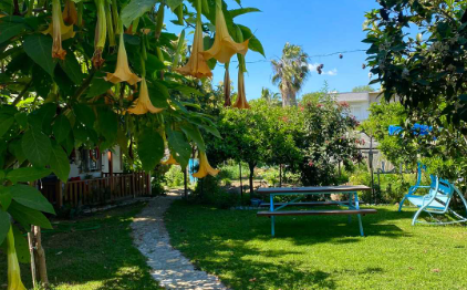 APART IŞIL SUİTES 2